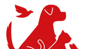 Zoomark e Petzoo Eurasia: una partnership che entra in una nuova fase